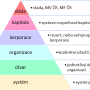 pyramida_urovne_rizeni_ekonomickeict.png